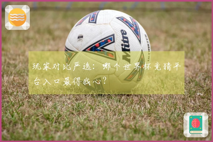 玩家对比严选：哪个世界杯竞猜平台入口最得我心？