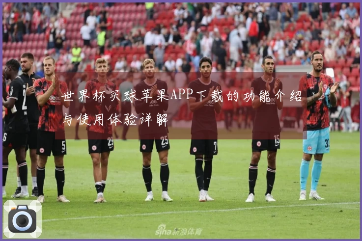 世界杯买球苹果APP下载的功能介绍与使用体验详解