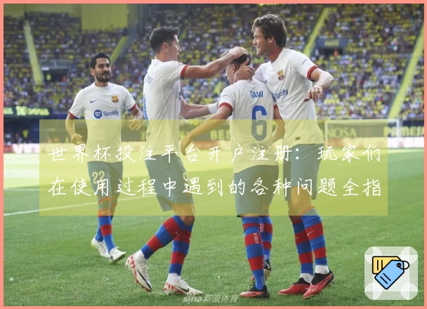 世界杯投注平台开户注册：玩家们在使用过程中遇到的各种问题全指南