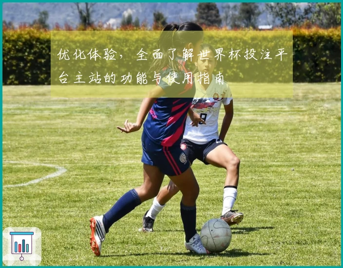 优化体验，全面了解世界杯投注平台主站的功能与使用指南